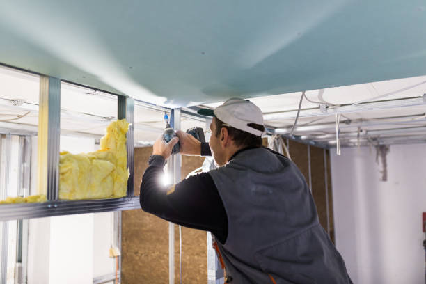 Best Blown-in Insulation in Los Alamos, CA