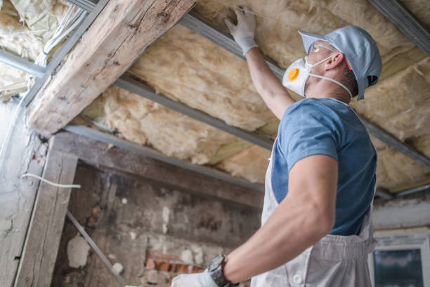 Best Spray Foam Insulation in Los Alamos, CA