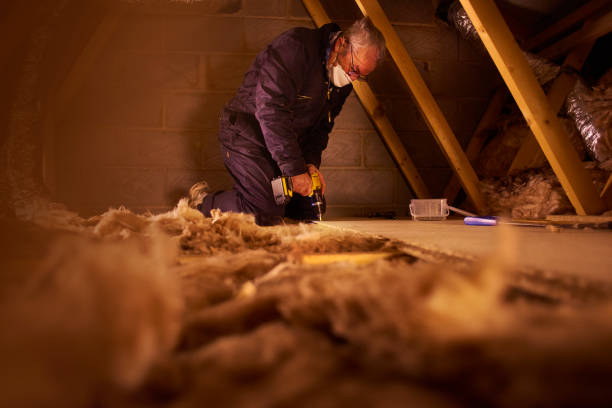 Best Insulation Maintenance and Repair in Los Alamos, CA